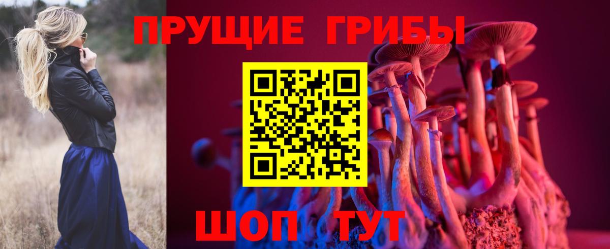 Псилоцибиновые грибы GOLDEN TEACHER  Вход с VPN  Советская Гавань 